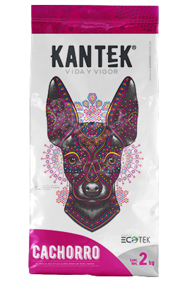 Kantek Cachorro